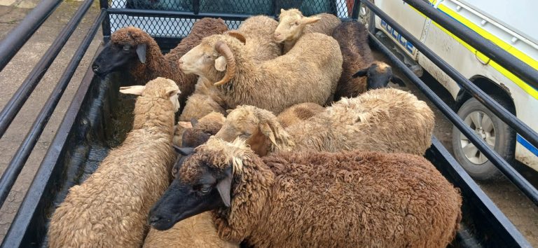 21ee9519-57e1-42d6-bd55-bb035ec5a7fa