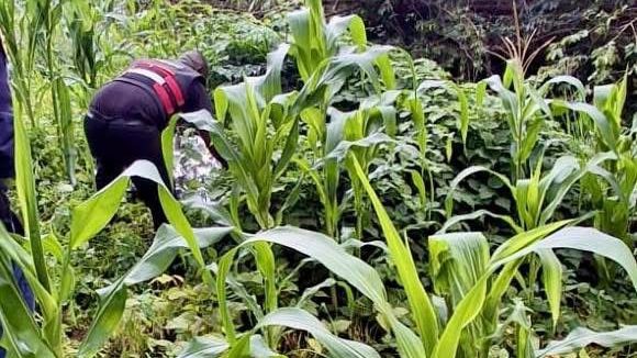 PHOTO-2025-12-04-12-40-44