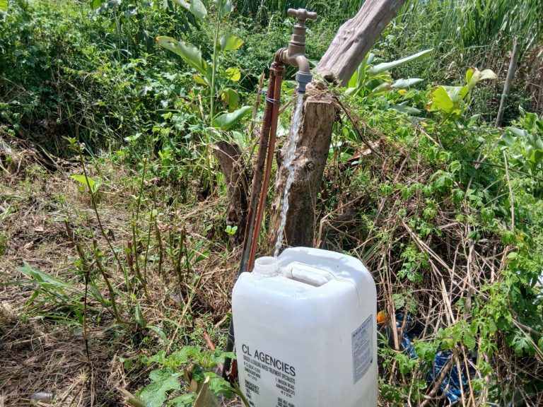 1936079f-393a-44af-b78a-dedafac20a8e