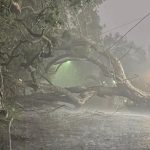 438669aa-0ca7-41e2-b2cf-140da598b525