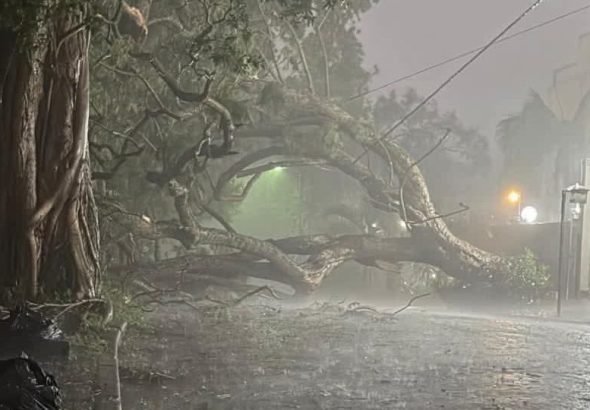 438669aa-0ca7-41e2-b2cf-140da598b525