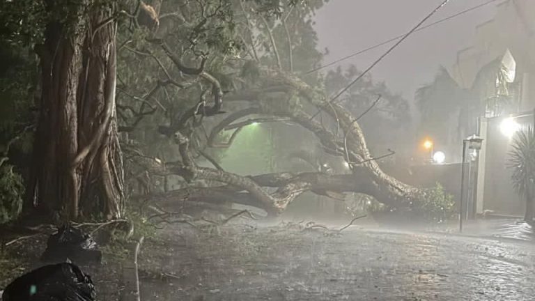 438669aa-0ca7-41e2-b2cf-140da598b525